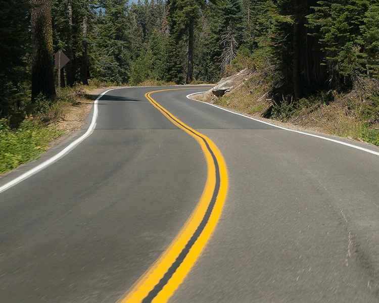 Curvy forest road with yellow dividing lines.