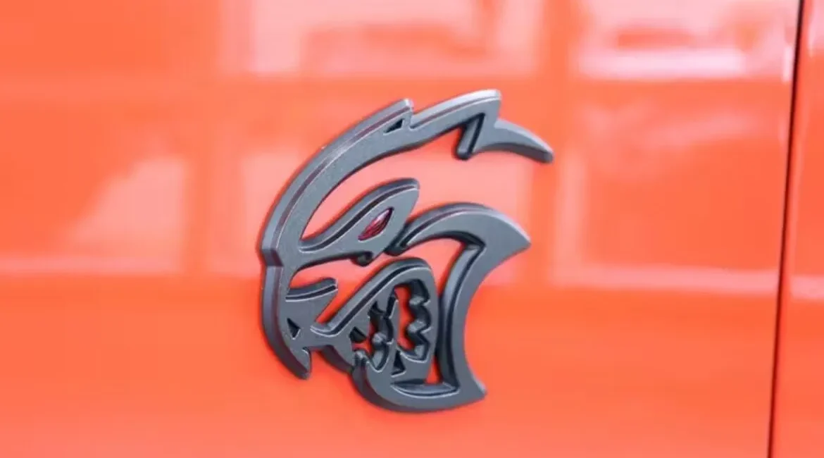 Black cat head car emblem on orange surface