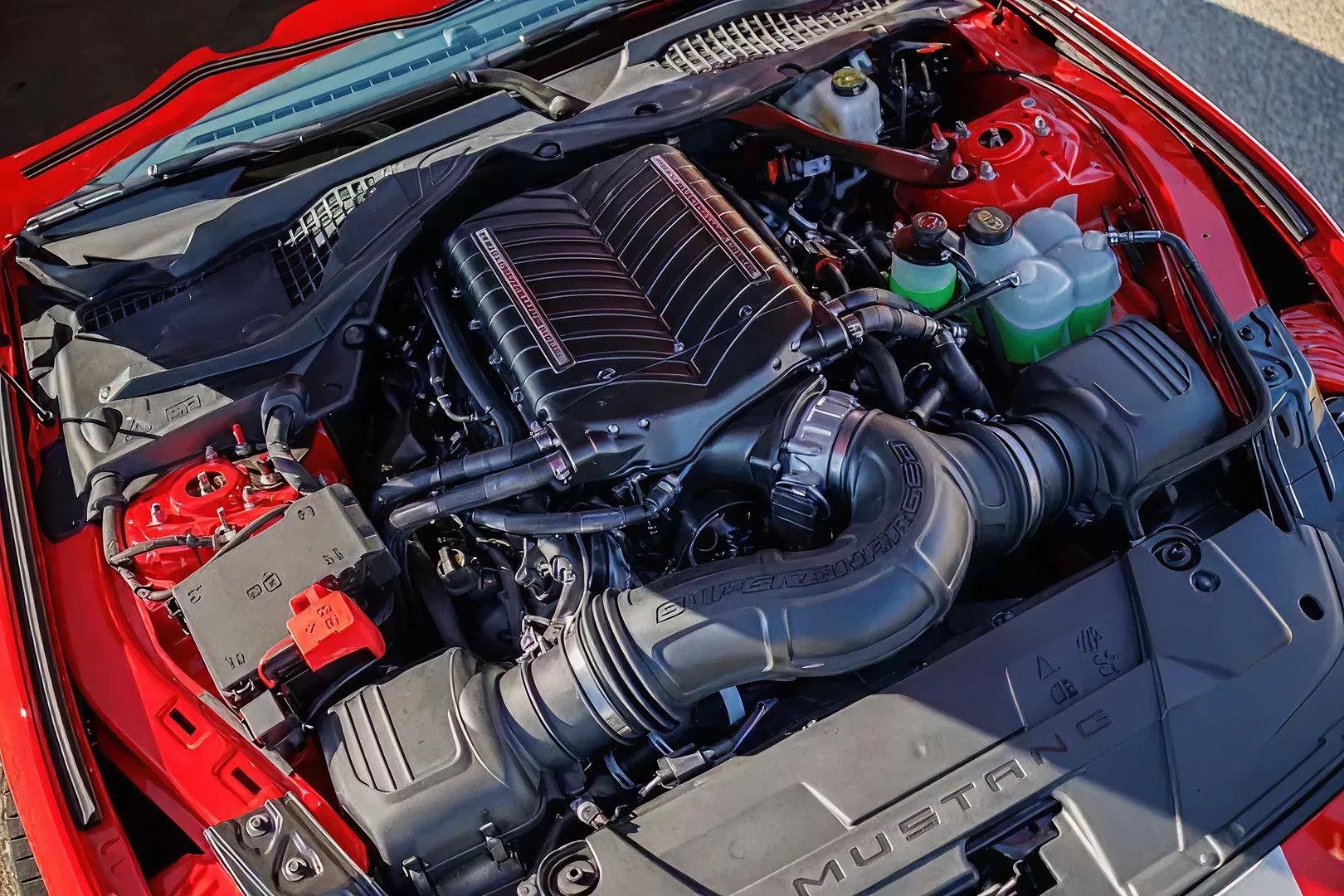 Supercharged Mustang engine under the hood
